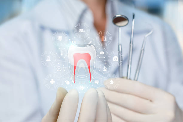 Best Root Canal Treatment  in Bayboro, NC